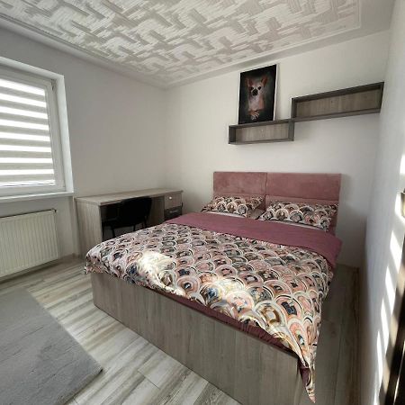 Tei Apartment - Lucian Blaga Satu Mare Ngoại thất bức ảnh
