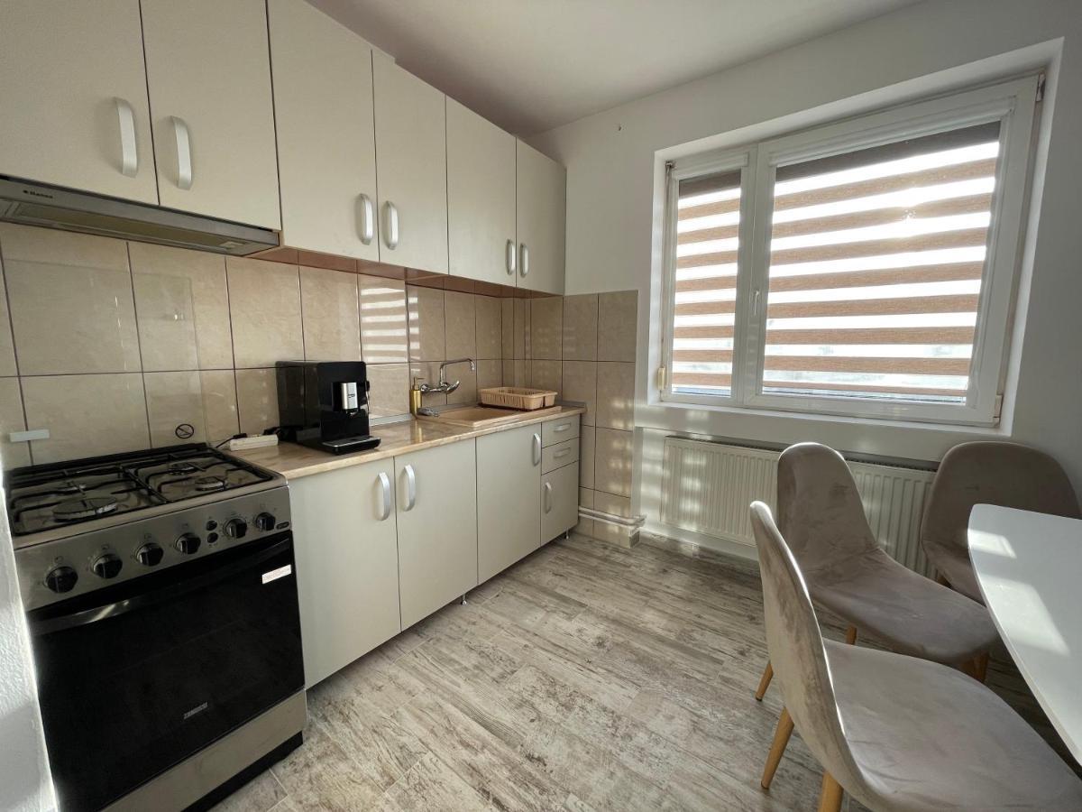 Tei Apartment - Lucian Blaga Satu Mare Ngoại thất bức ảnh
