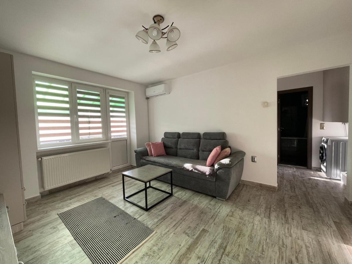 Tei Apartment - Lucian Blaga Satu Mare Ngoại thất bức ảnh